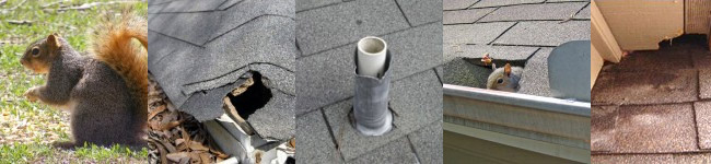 Roofing inspection